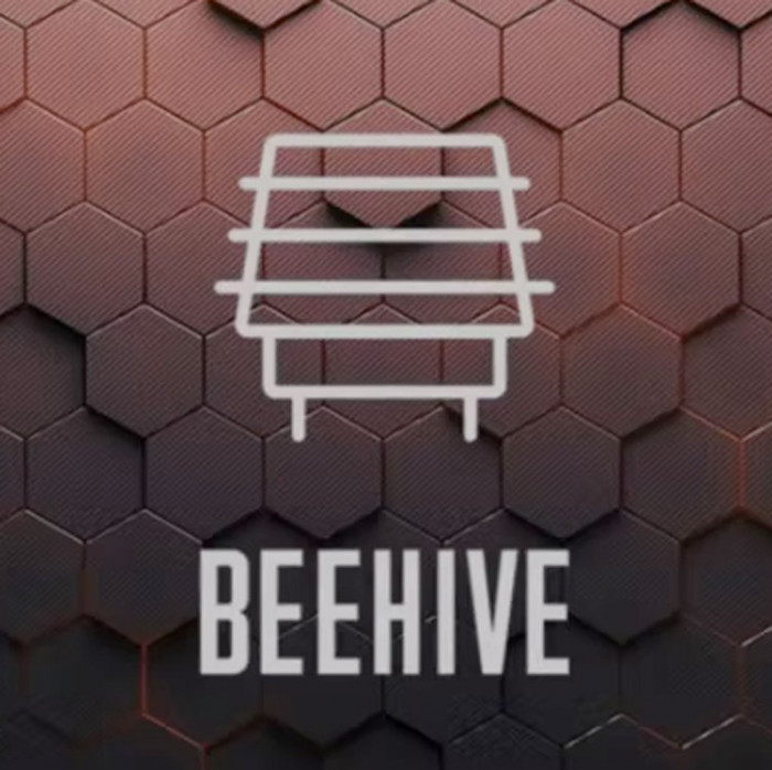 GlassBox Beehive